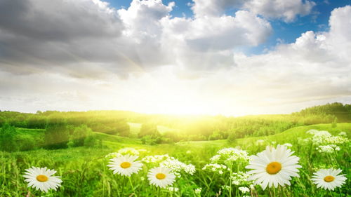 2025年属羊一生桃花劫是谁|独家资源分享助你成长_组件集.4.813 2025年属羊一生桃花劫是谁|独家资源分享助你成长_组件集.4.813