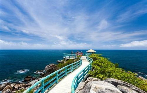 查找澳门历史记录的网站|探索城市新生活的无限可能_XP款.9.481 查找澳门历史记录的网站|探索城市新生活的无限可能_XP款.9.481