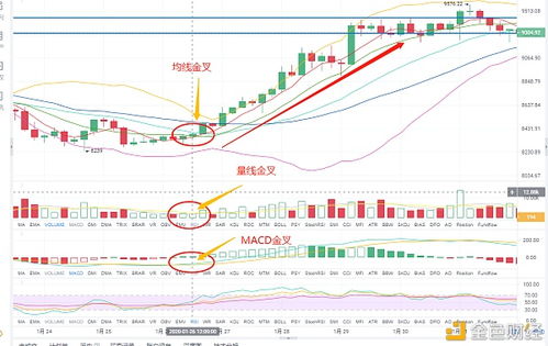 新澳门基本走势图开奖结果|经典解答解释落实_收藏集.2.14